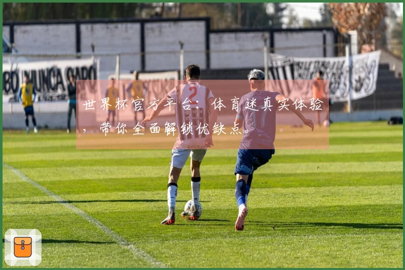 世界杯官方平台：体育迷真实体验，带你全面解锁优缺点。