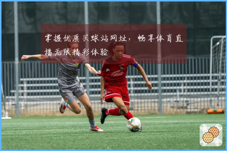 掌握优质买球站网址，畅享体育直播无限精彩体验