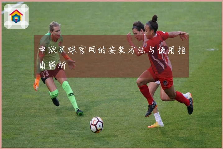 中欧买球官网的安装方法与使用指南解析