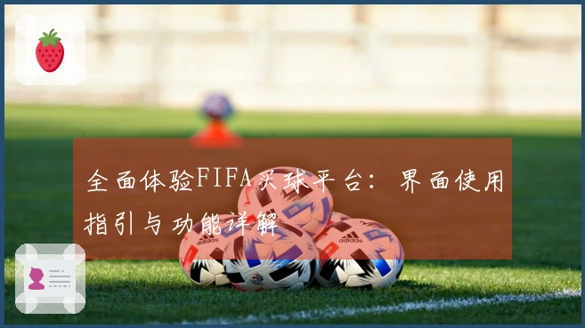 全面体验FIFA买球平台：界面使用指引与功能详解