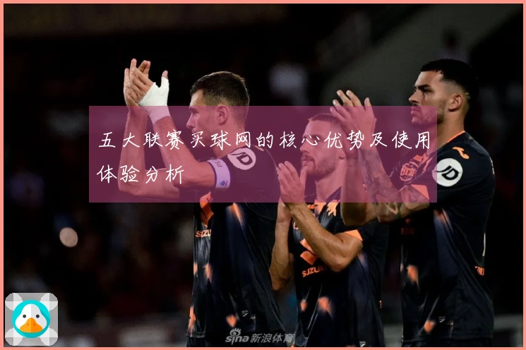 五大联赛买球网的核心优势及使用体验分析